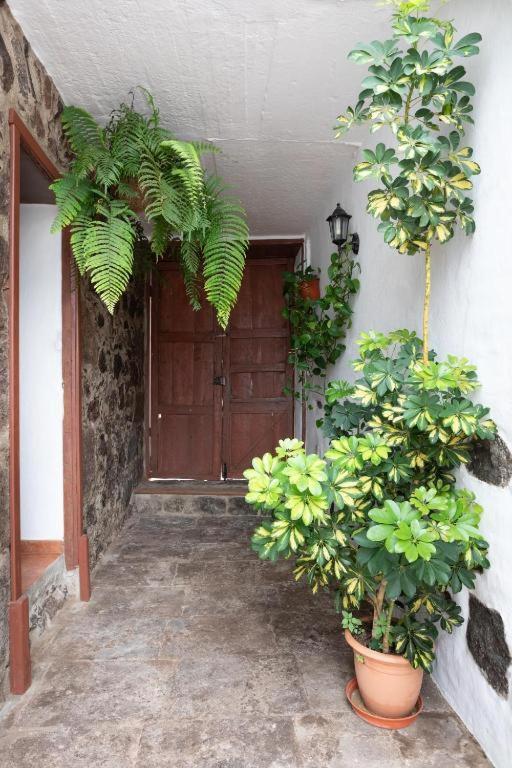 Casa Canaria Acero การาชิโก ภายนอก รูปภาพ