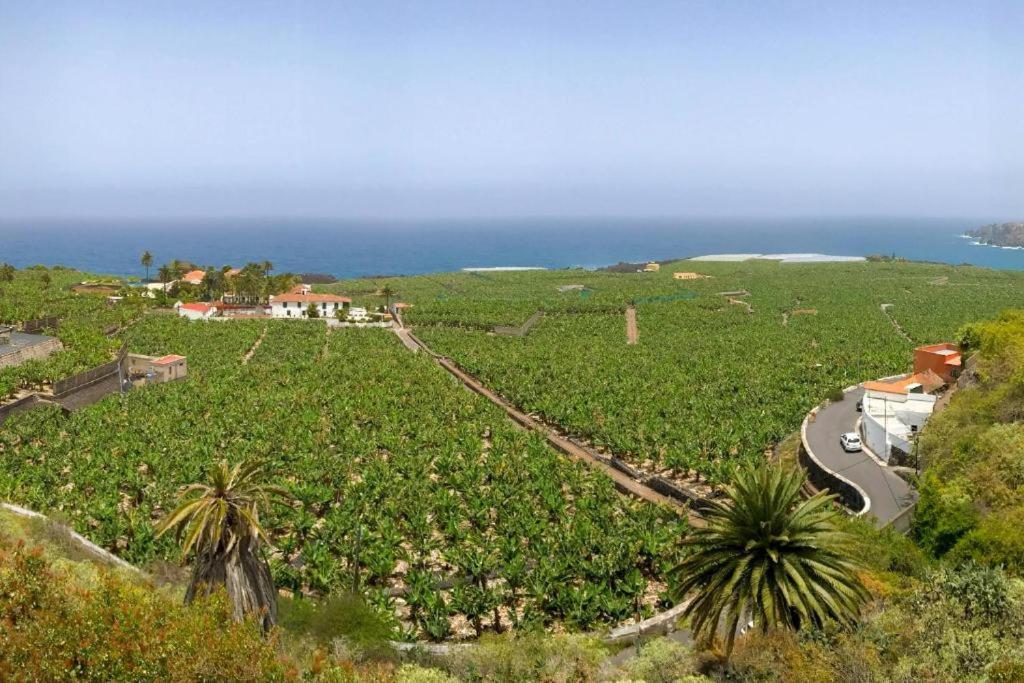 Casa Canaria Acero การาชิโก ภายนอก รูปภาพ